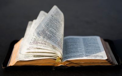 Let the Redeemed of the Lord Say So