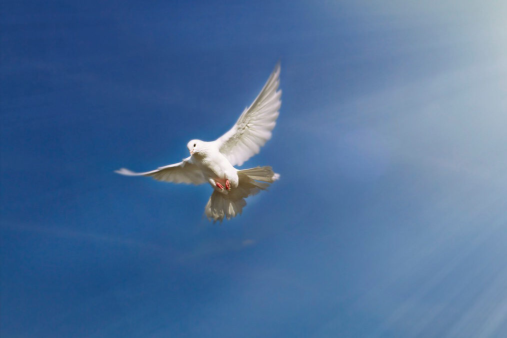 Finding God’s “New Thing”