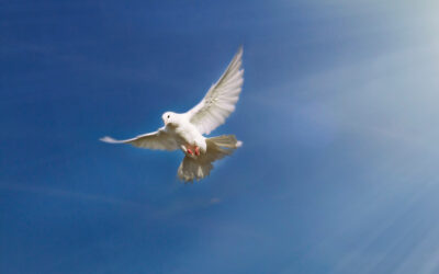 Finding God’s “New Thing”