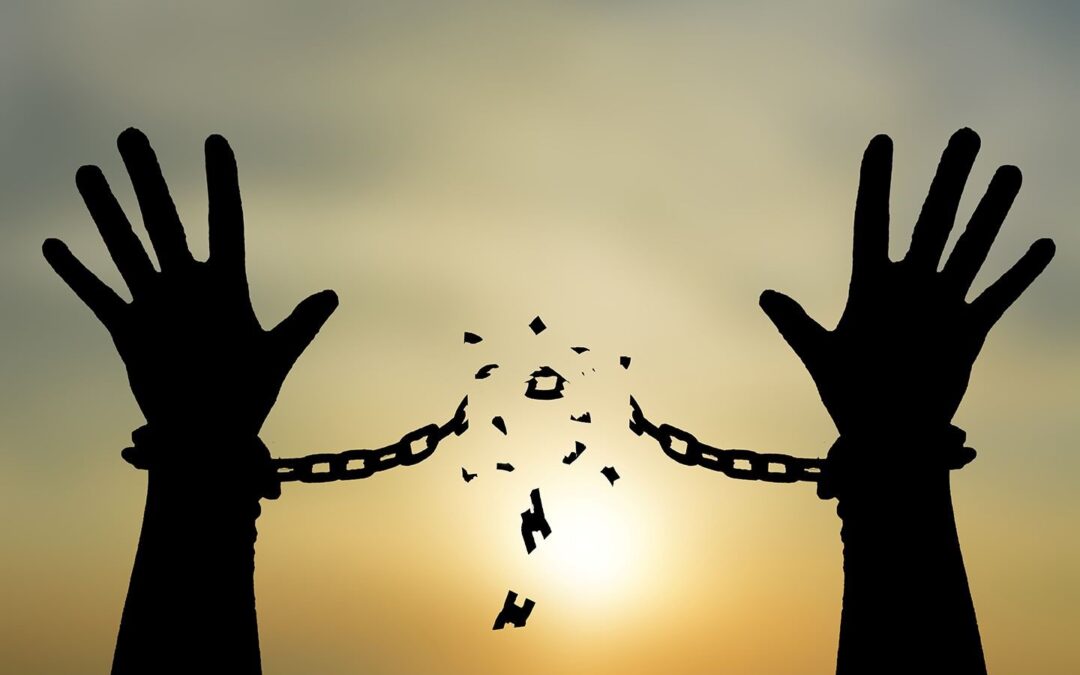 Freedom Fugitives