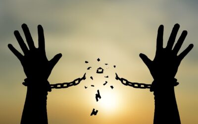 Freedom Fugitives