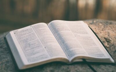 Contrasting Views of Scripture