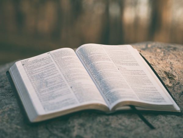 Contrasting Views of Scripture