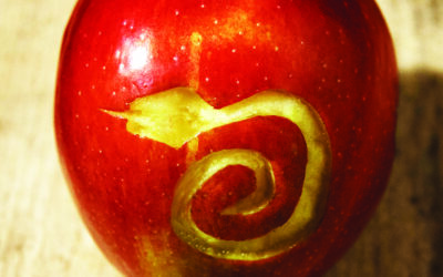 Original Sin in Methodism